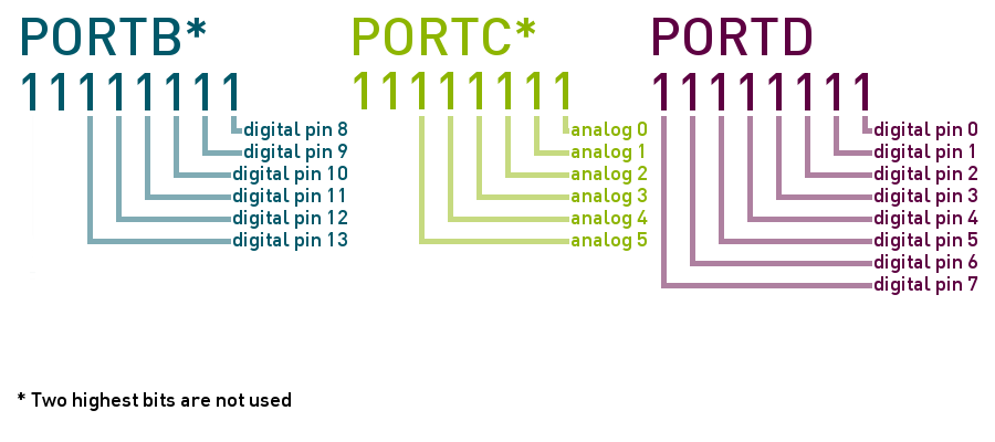 The port registers and the pins that correspond to each bit