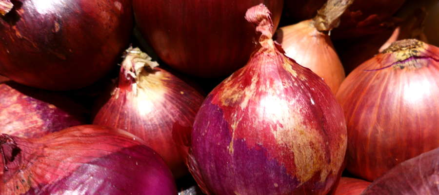 Some onions.